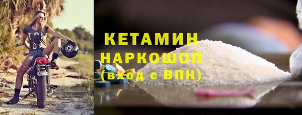 индика Белокуриха
