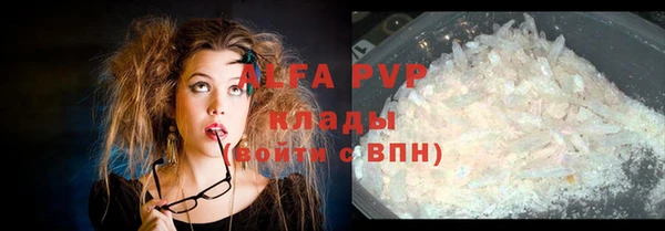 индика Белокуриха