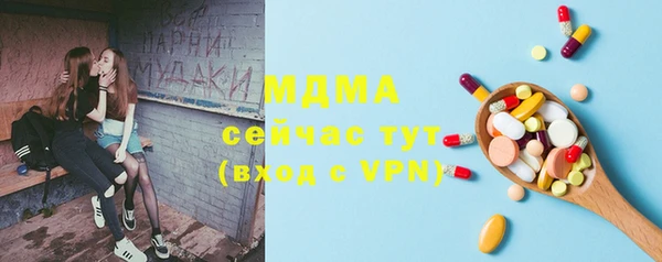 индика Белокуриха