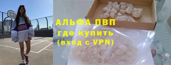 spice Богданович