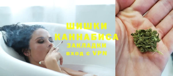 spice Богданович