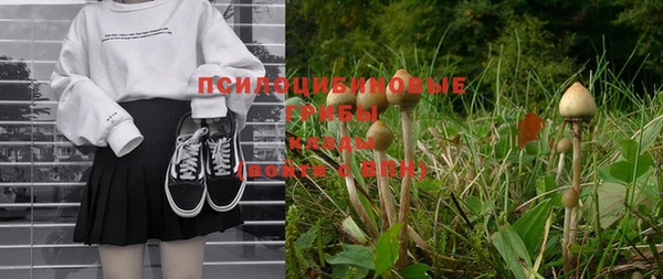 индика Белокуриха