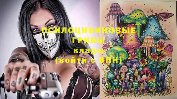 индика Белокуриха