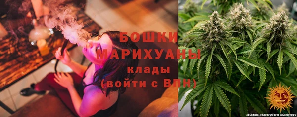 сатива Богородицк