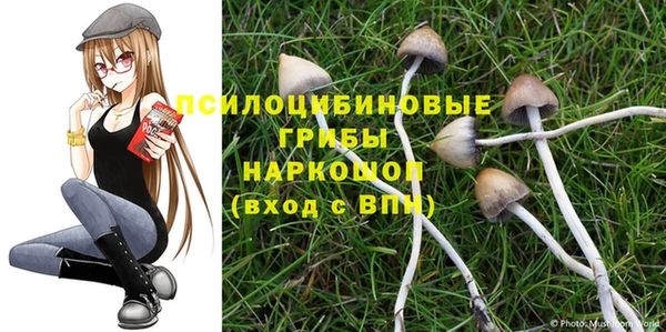 сатива Богородицк
